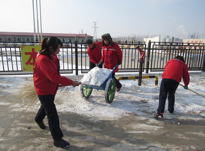 扫雪活动